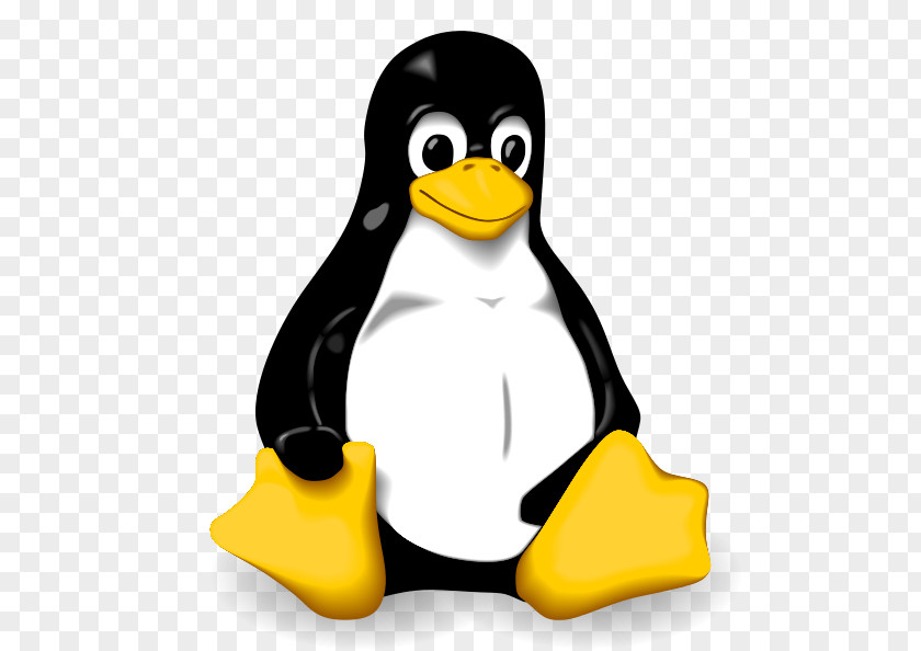 Linux Installation Operating Systems Tux Ubuntu PNG