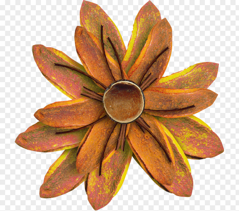 Orange Handmade Flowers Flower PNG