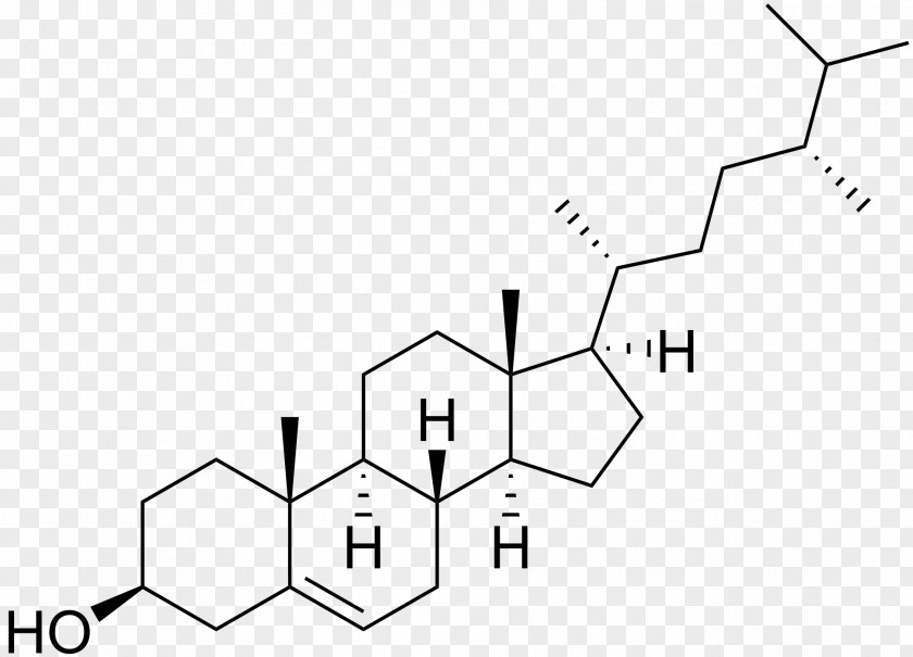 Sex Steroid Cortisol Estradiol Cholesterol PNG steroid Cholesterol, others clipart PNG