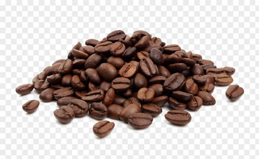 Black Beans Coffee Bean Cafe Jamaican Blue Mountain Cocoa PNG