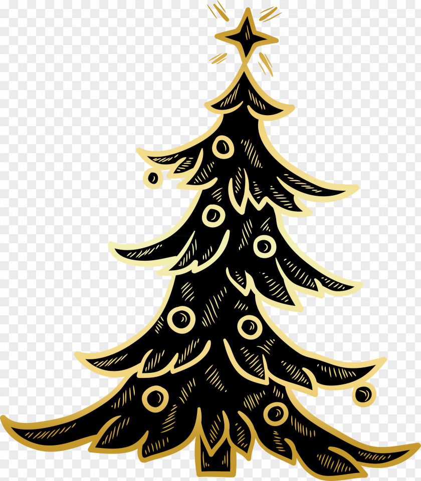 Christmas Tree Spruce Fir Decoration Ornament PNG