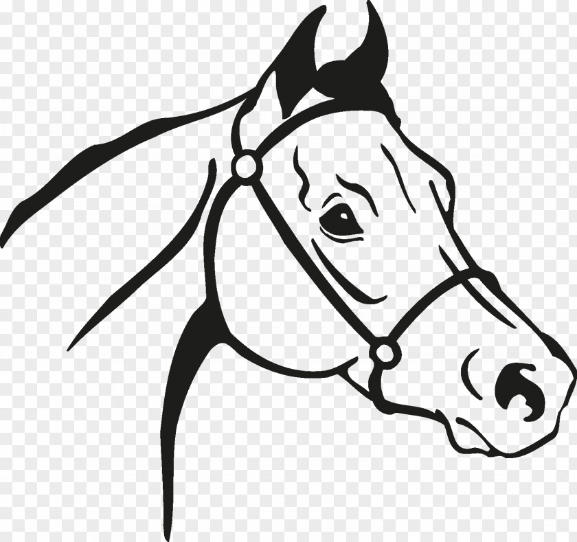 Horse Icon Arabian Mustang Clip Art Vector Graphics Stallion PNG