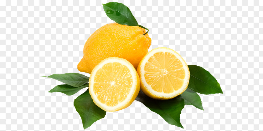 Lemon Lemon-lime Drink Lemonade Juice Rangpur PNG