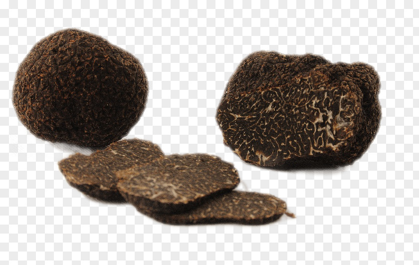 Mushroom Périgord Black Truffle Piedmont White Alba Fungus PNG