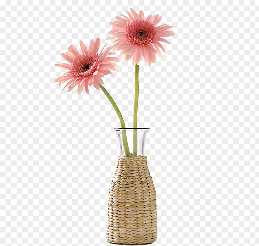 Vase Flower Transvaal Daisy Floral Design Icon PNG