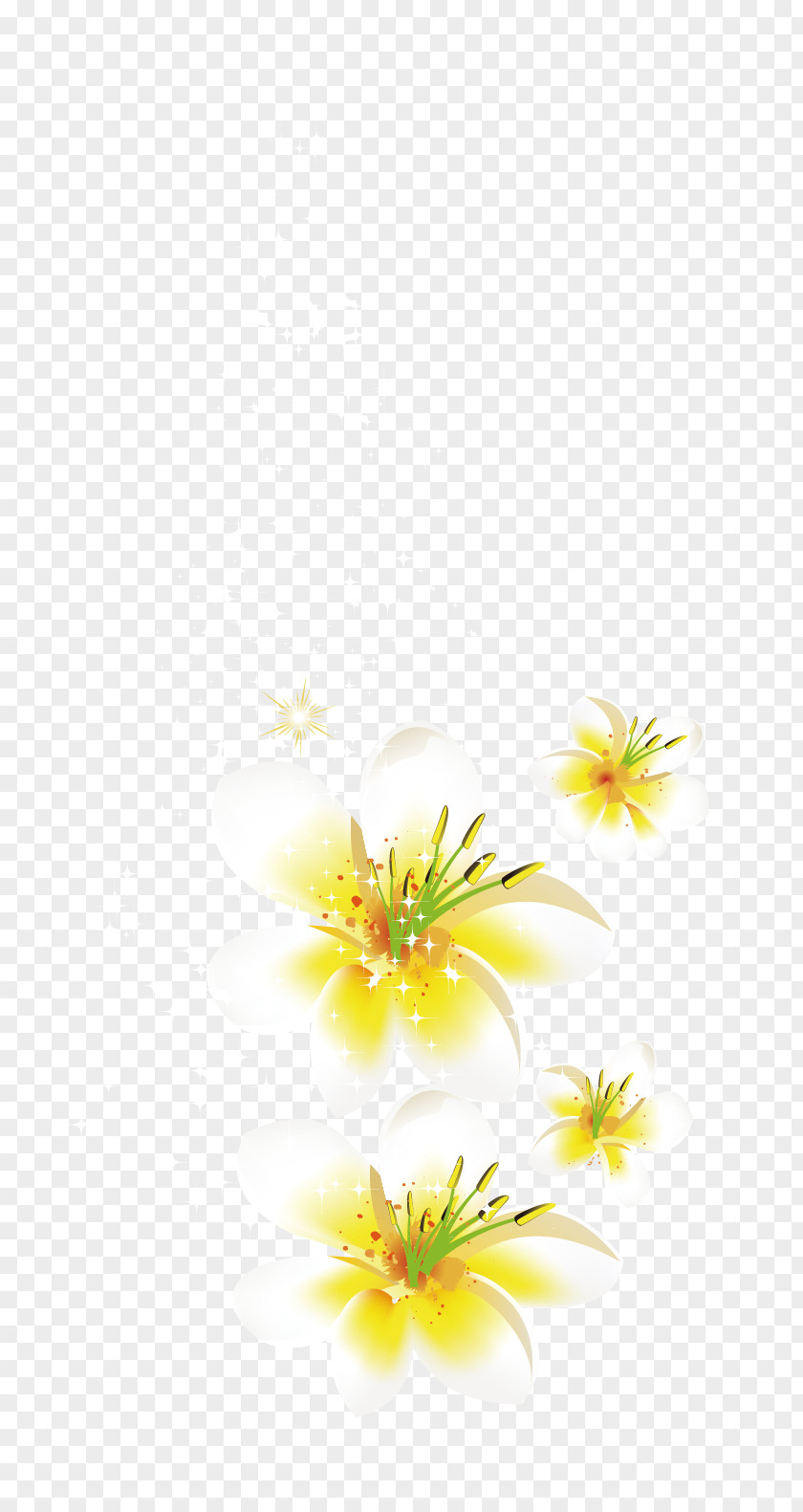 Vector Flower Petal PNG