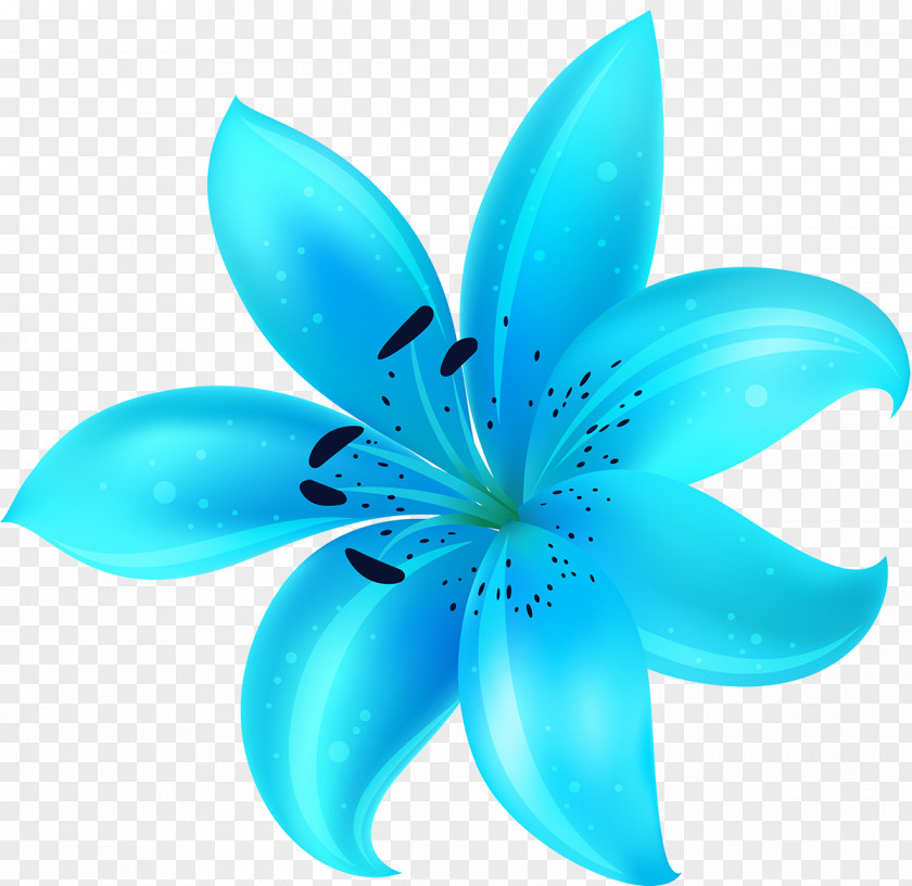 Water Lilies Cut Flowers Turquoise Teal Petal PNG