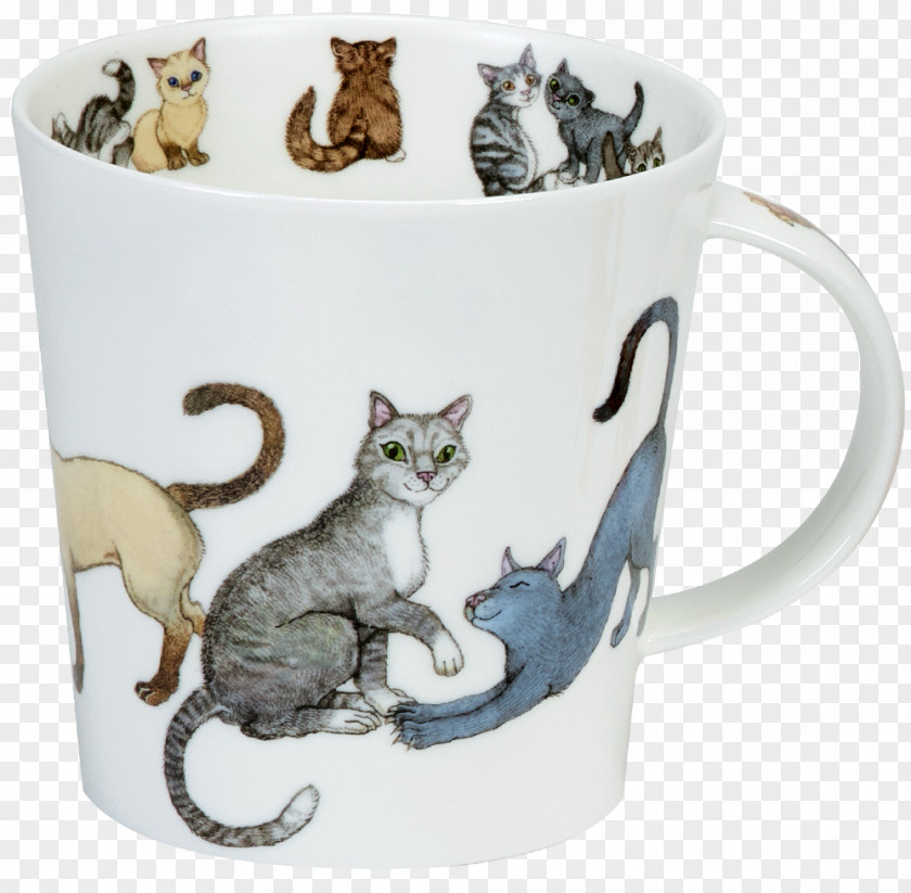 Cat Tabby Dunoon Coffee Cup Mug PNG