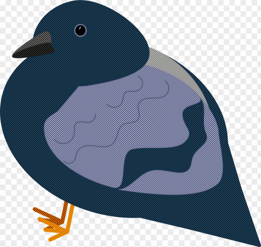 Duck Birds Flightless Bird Beak Water PNG