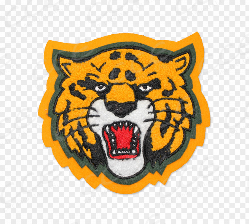 Mascot Logo Cincinnati Bearcats Men's Basketball University Of Tiger Binturong PNG