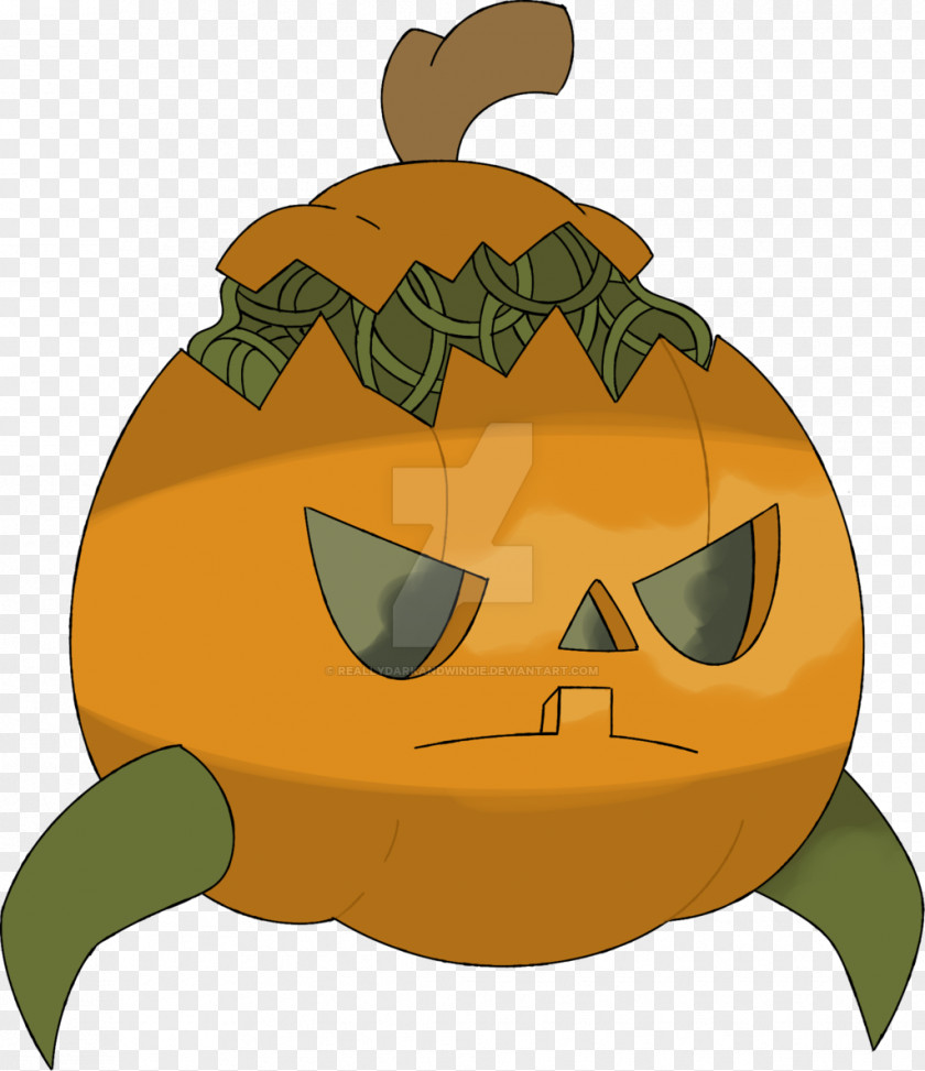 Pumpkin Jack-o'-lantern Calabaza Turtle Winter Squash PNG