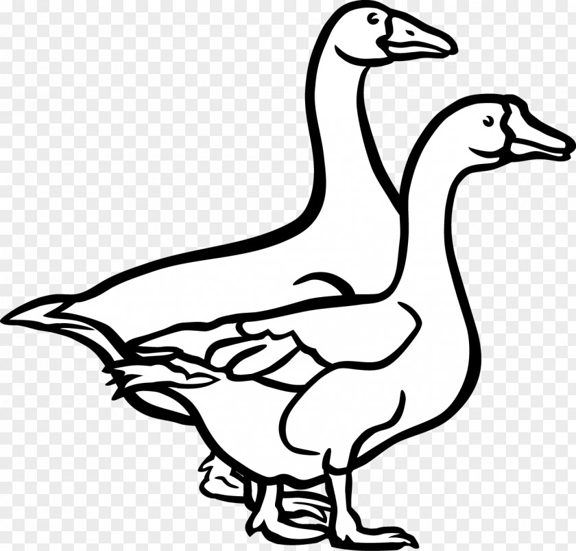 Vector Painted Duck Goose Bird Black And White Clip Art PNG