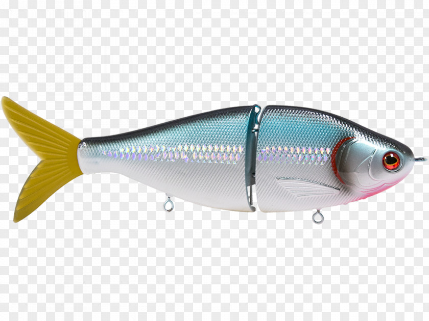 Sardine Spoon Lure Oily Fish Marine Biology PNG