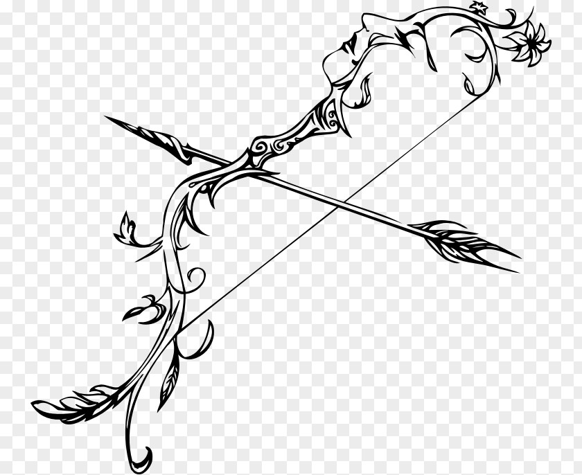 Arrow Bow And Drawing Line Art PNG