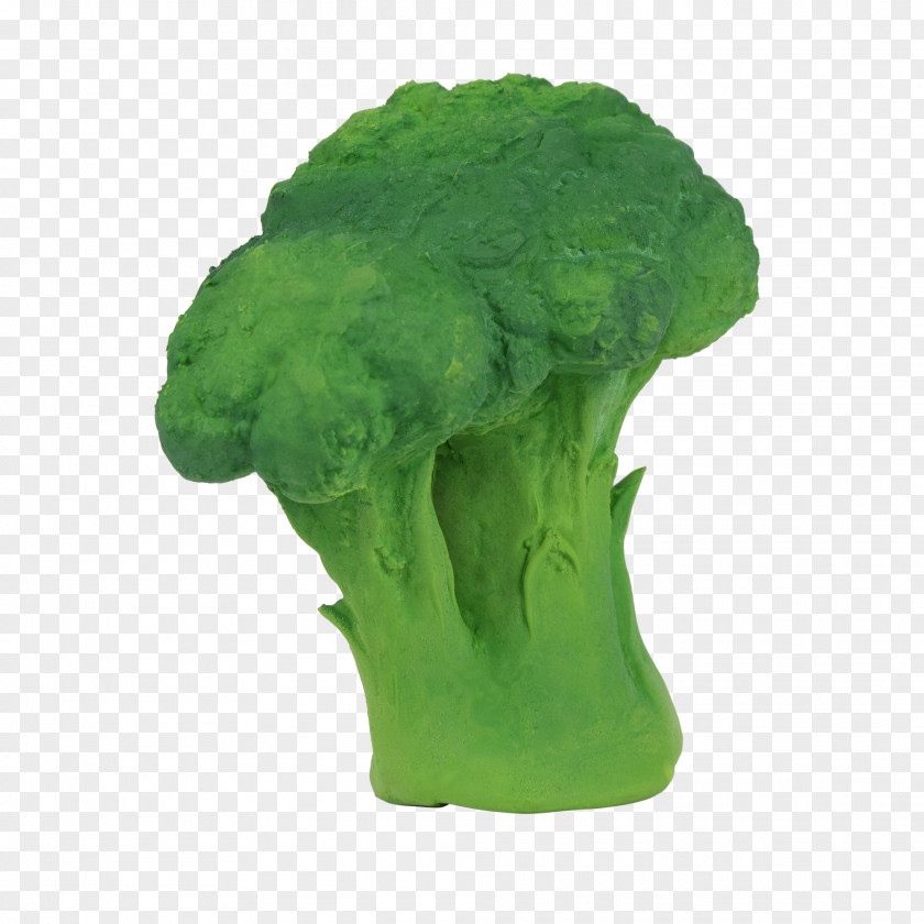 Broccoli Teether Vegetable Cauliflower Infant PNG