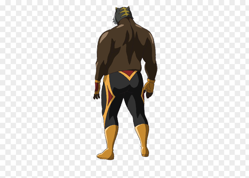 Cat Mask Character Wetsuit Professional Wrestler Fiction Tiger Corporation PNG