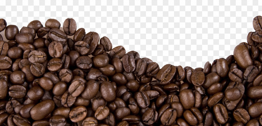 Coffee Beans Image Jamaican Blue Mountain Cafe Bean PNG