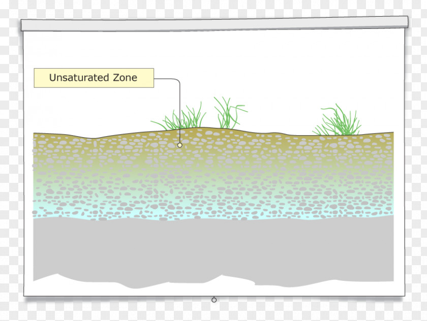 Knowledge Check Water Resources Rectangle Lawn Animal PNG
