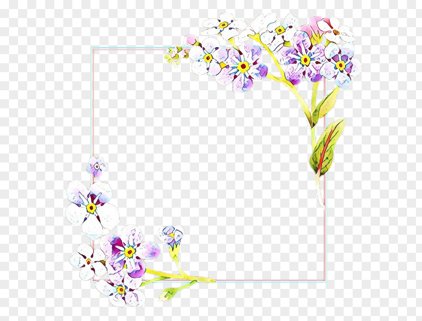 Picture Frame Pedicel Background Flowers PNG