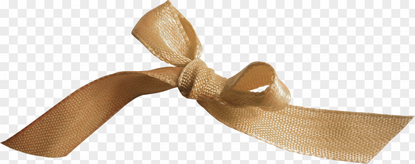 Ribbon Bow SILK PNG