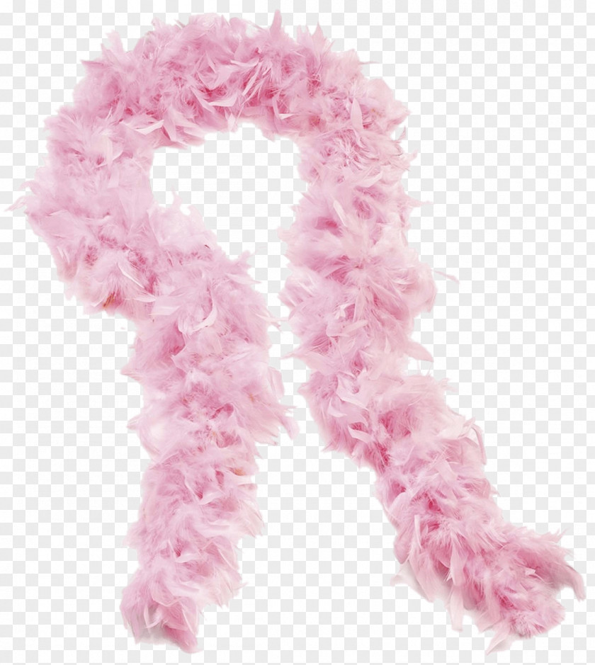 Scarf Feather Boa Costume Party PNG