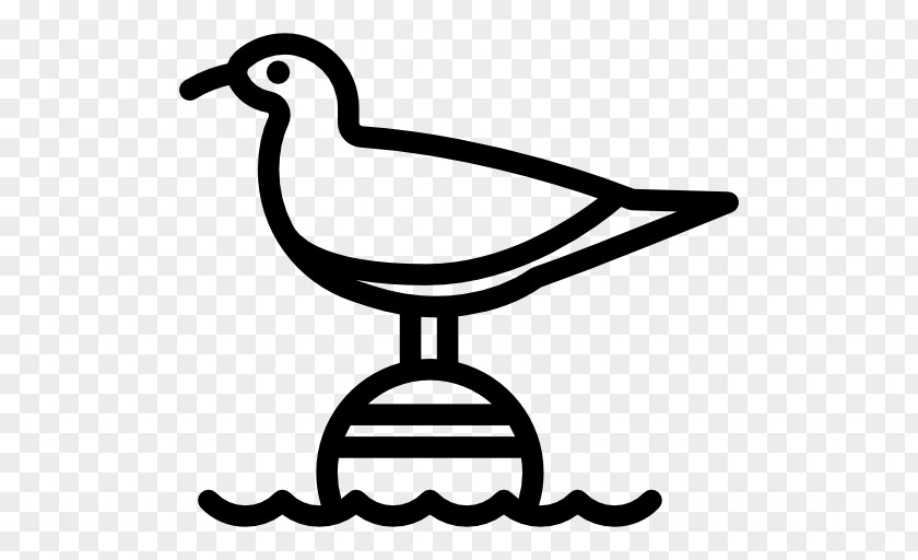 Seagull Gulls Bird Clip Art PNG