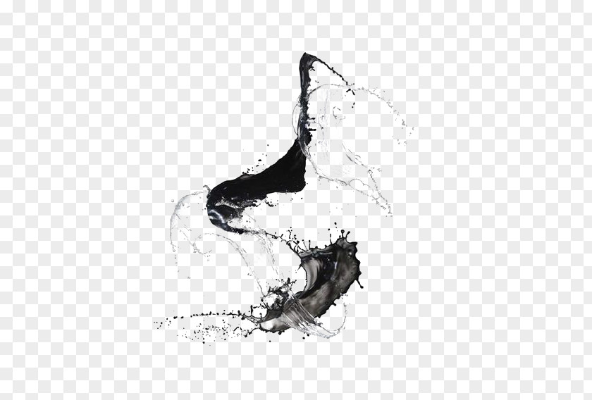 Water Splash Bruce Silverstein Gallery Japanese Calligraphy Photography Art PNG