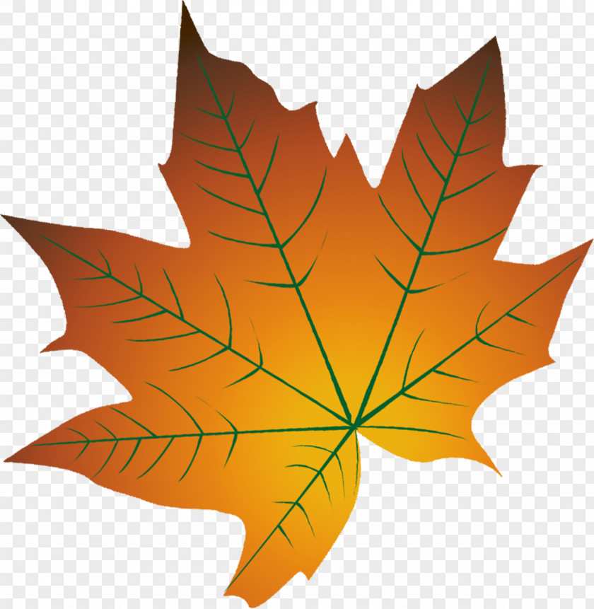 Cartoon Autumn Leaves Yellow Of Deciduous Leaf Color PNG