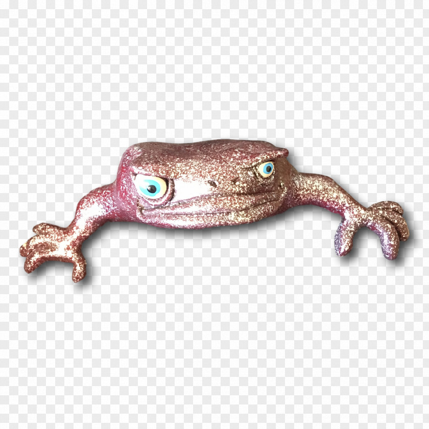Frog Reptile PNG