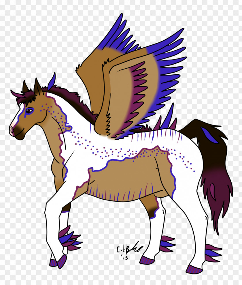 Mustang Pony Foal Colt Stallion PNG