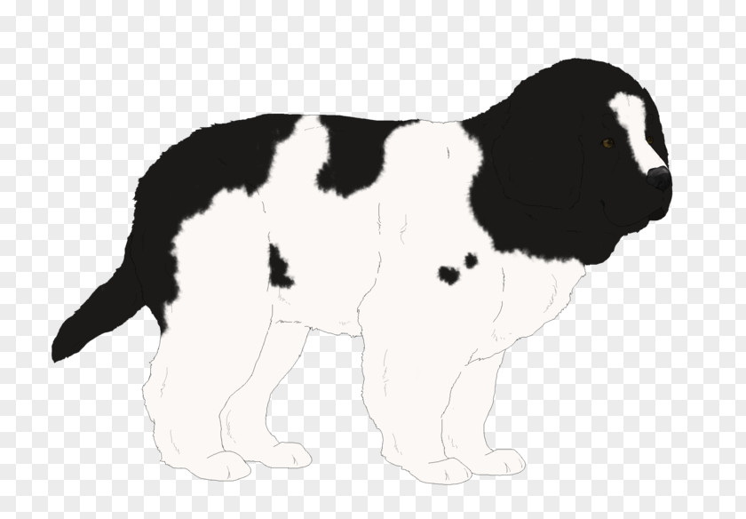 Puppy English Springer Spaniel Drentse Patrijshond Dog Breed Welsh PNG