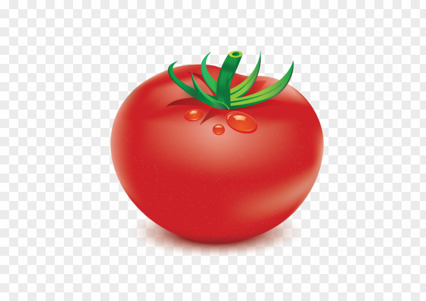 Tomato Plum Food Vegetable Bush PNG