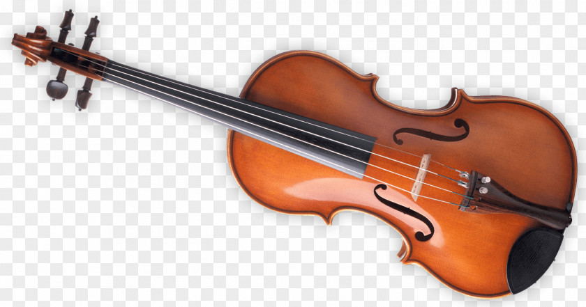 Violin Bass Violone Viola Double PNG