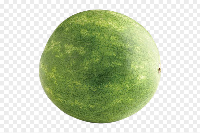 Watermelon Honeydew Fruit PNG