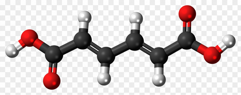 Adipic Acid Dicarboxylic Muconic Essential Amino PNG