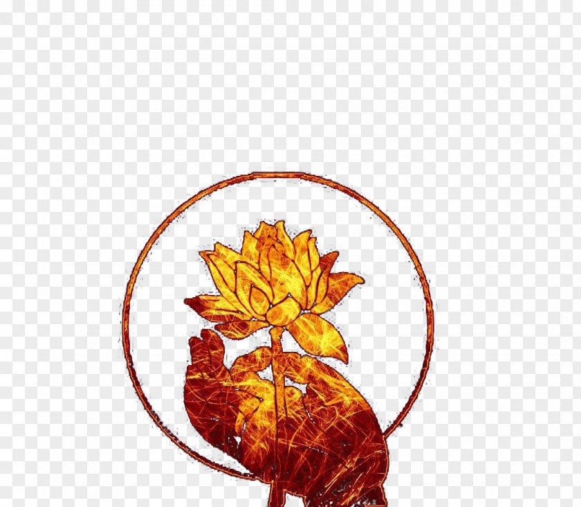 Bergamot Lotus Buddhas Hand Orange Nelumbo Nucifera PNG