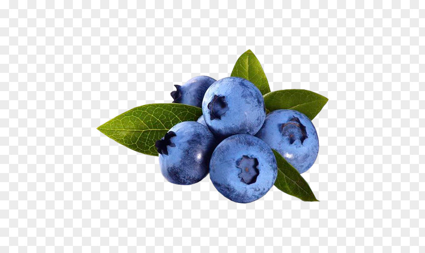 Blueberry Pie Blueberries For Sal Antioxidant PNG