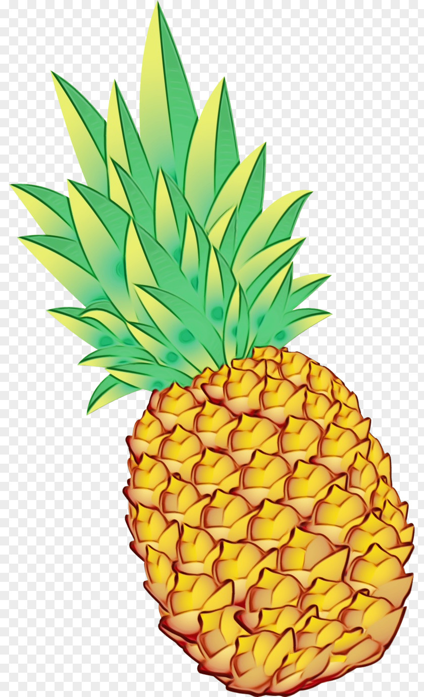 Clip Art Pineapple Drawing Watercolor Painting PNG