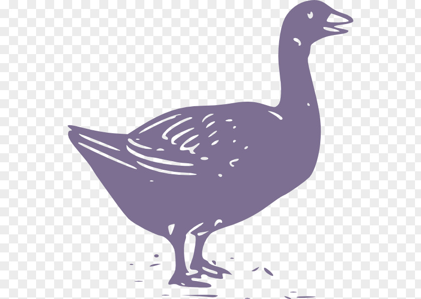 Duck Swan Goose Chicken Mute PNG