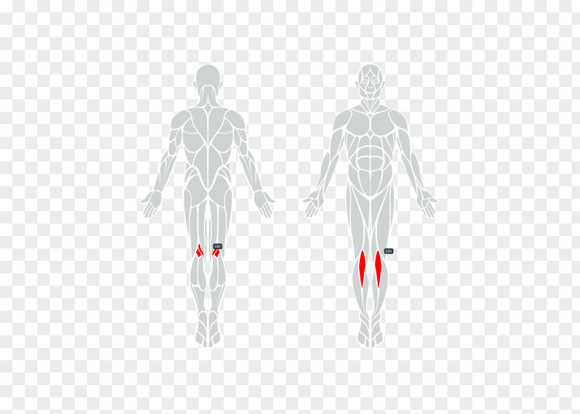 Knee Pain Hand Iliotibial Band Syndrome Tract Human Body PNG