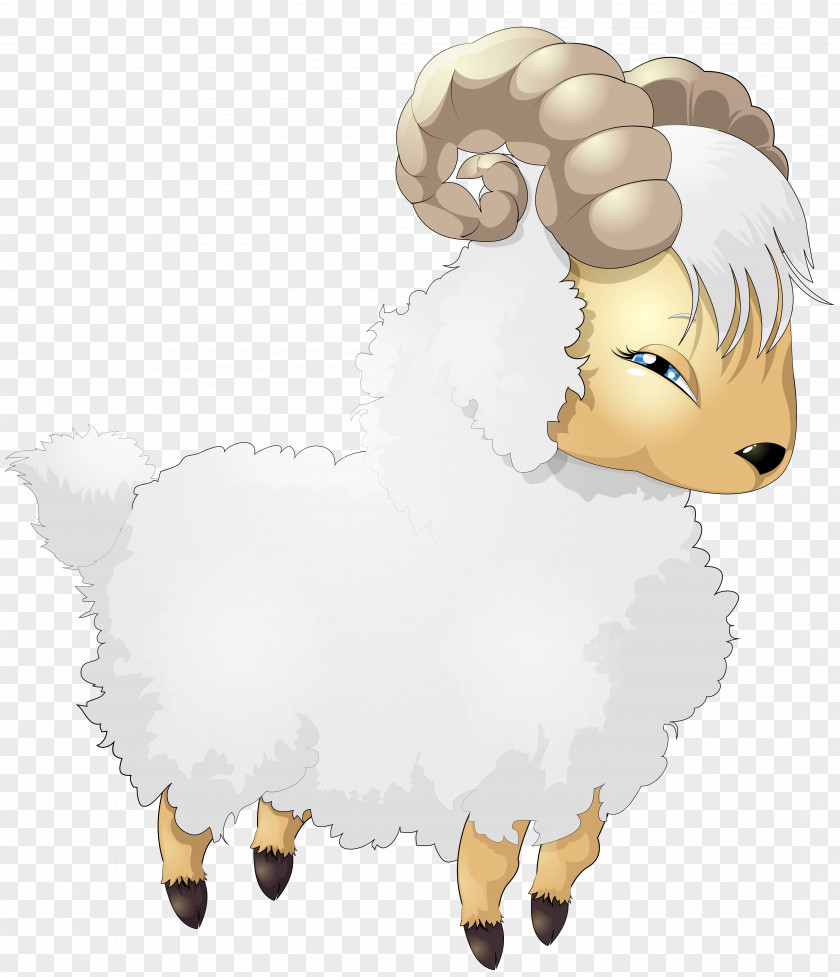 Transparent Sheep Cartoon Picture Drawing PNG