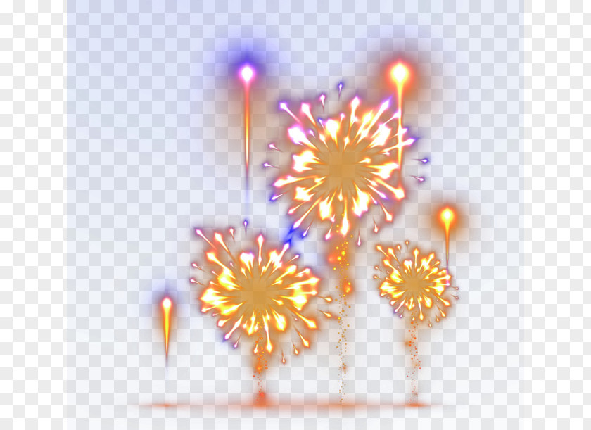 Fireworks Purple Petal Computer Wallpaper PNG