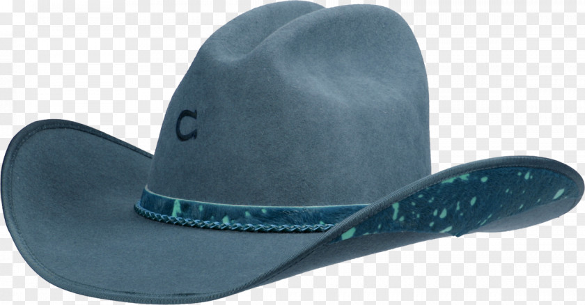 Hat Cowboy Blog PNG