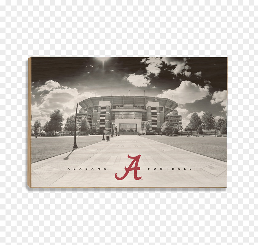 Painting Bryant–Denny Stadium Alabama Crimson Tide Football Art PNG