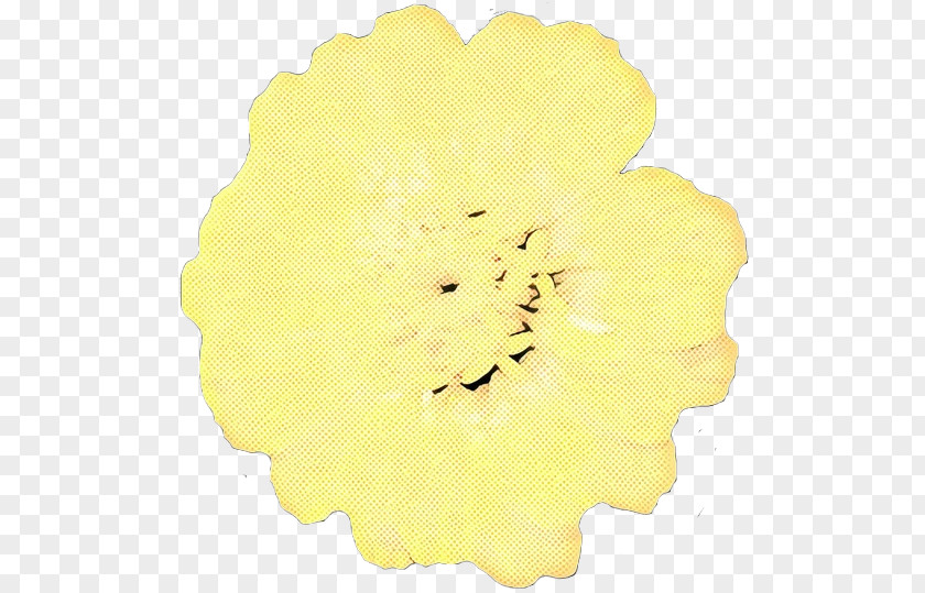 Petal Yellow Cut Flowers PNG