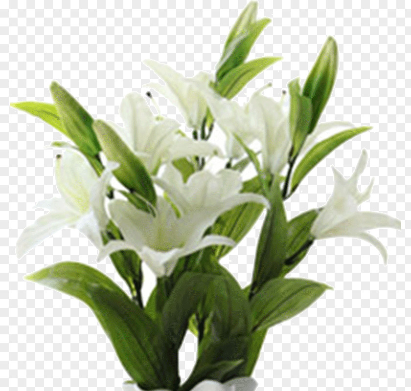 Taobao Decoration Cut Flowers Lilium Floral Design Plant PNG