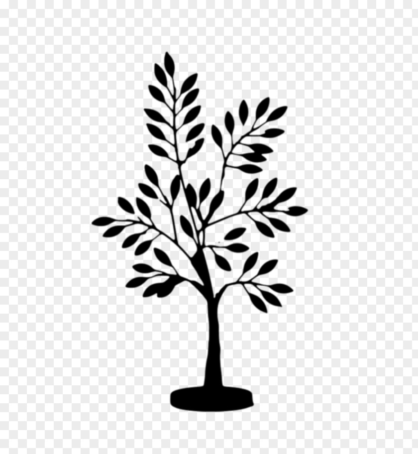 Twig Plant Stem Leaf Line Plants PNG