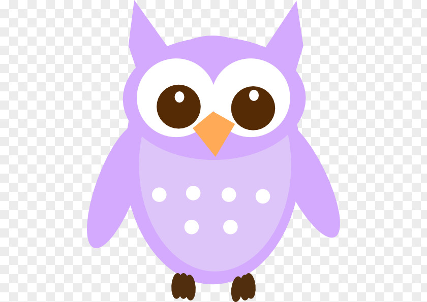 Baby Owl Clip Art PNG