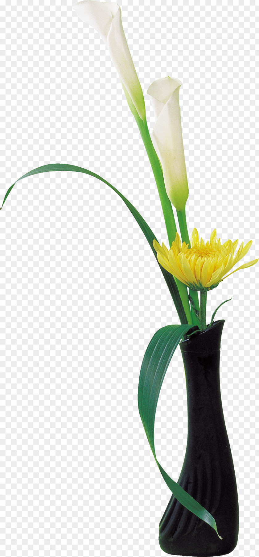 Chrysanthemum Cut Flowers Vase Flower Bouquet Flowerpot PNG