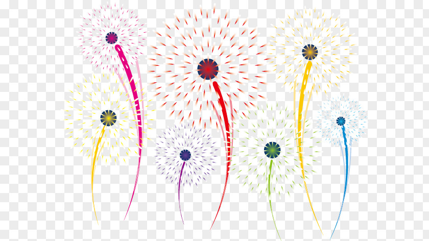 Fireworks Chinese New Year PNG